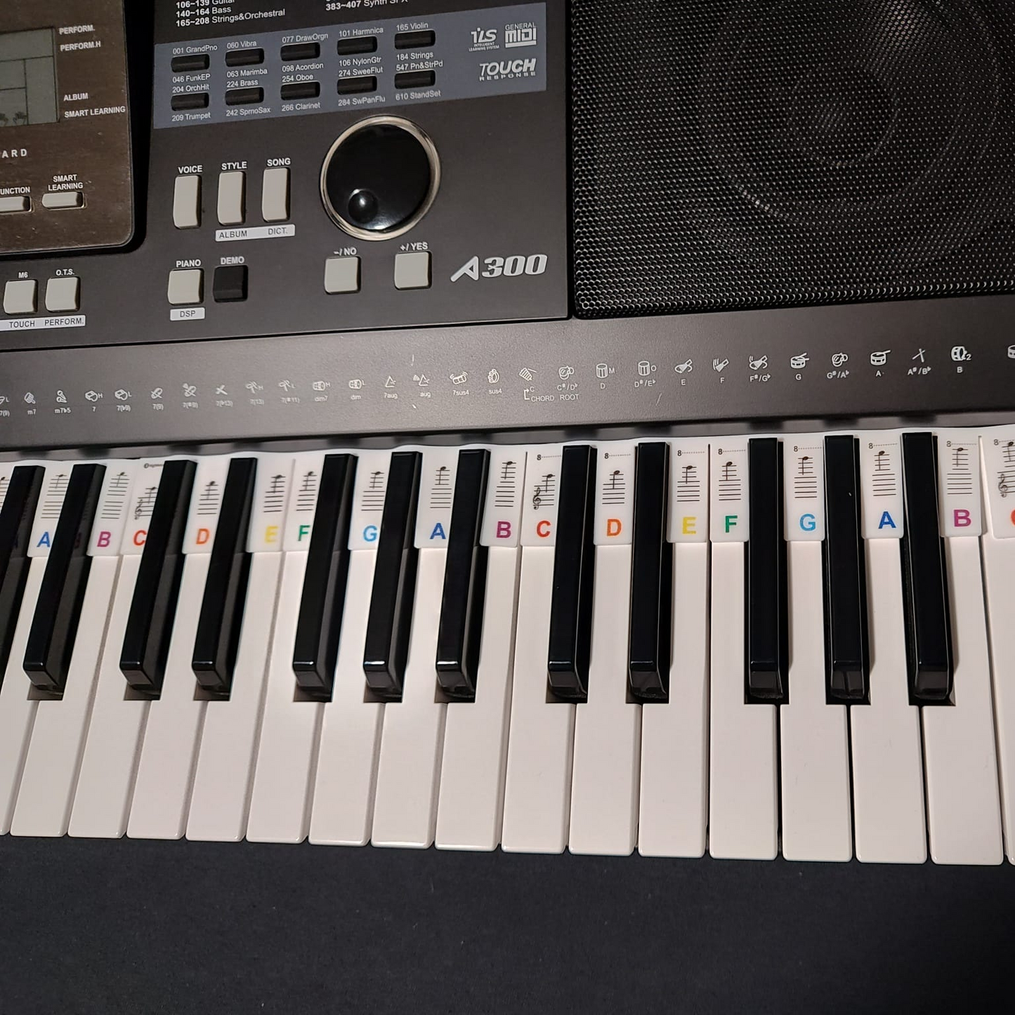 Piano Hulpje - Leermeester - Werkt Stres-verlagend