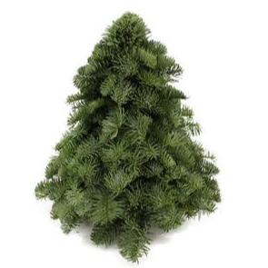 Nobilis Kerstboom - Hoogte ↕30cm