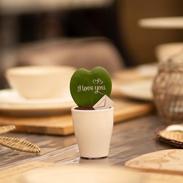 Hartjesplant | I Love You