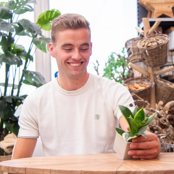 Plantpots met Sansevieria | Bedankt