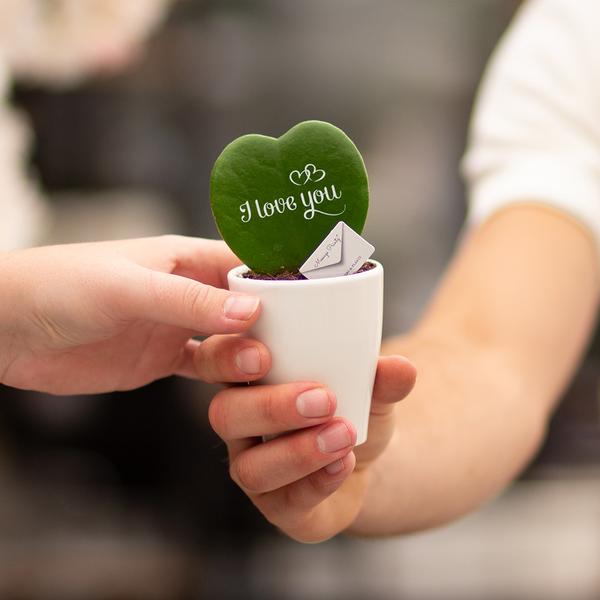Hartjesplant | I Love You