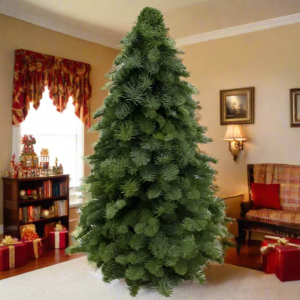 Nobilis Kerstboom - Diverse hoogtes