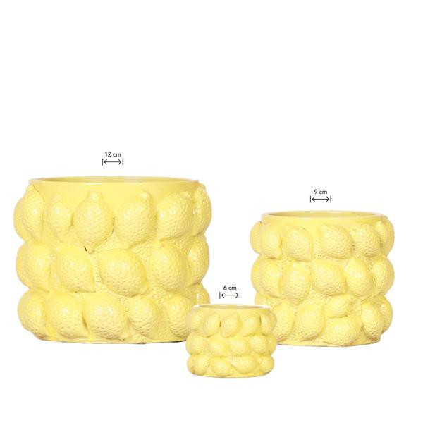 Citrus pot yellow - De gele citroen pot - Complete set