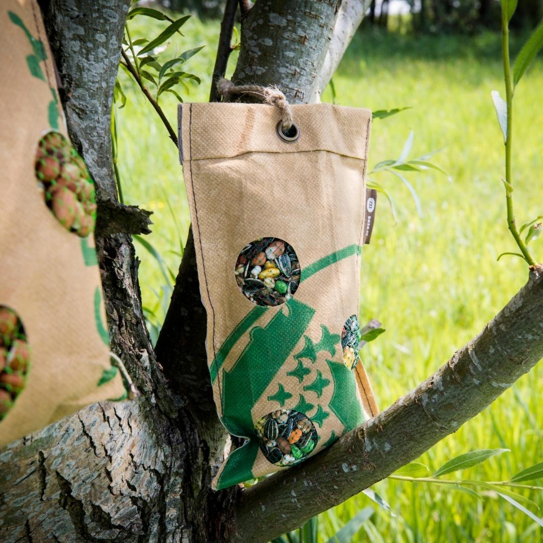 Bird-Buffet | Picknick voor buitenvogels | Koolmees & Pimpelmezen - 300 gram