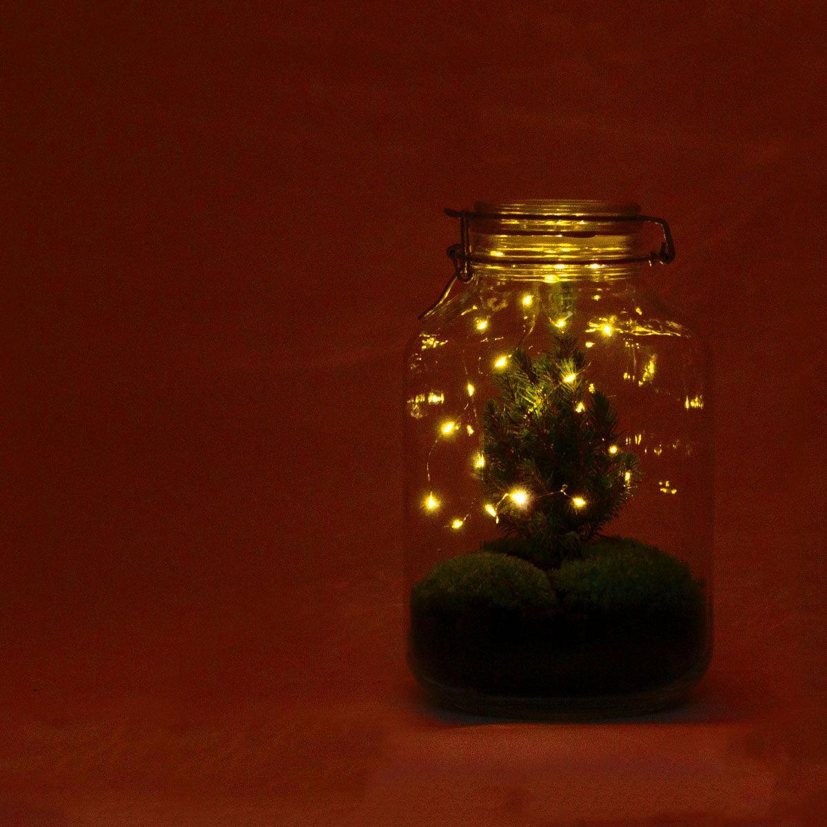 DIY terrarium - Kerstmis - Hoogte ↕28cm