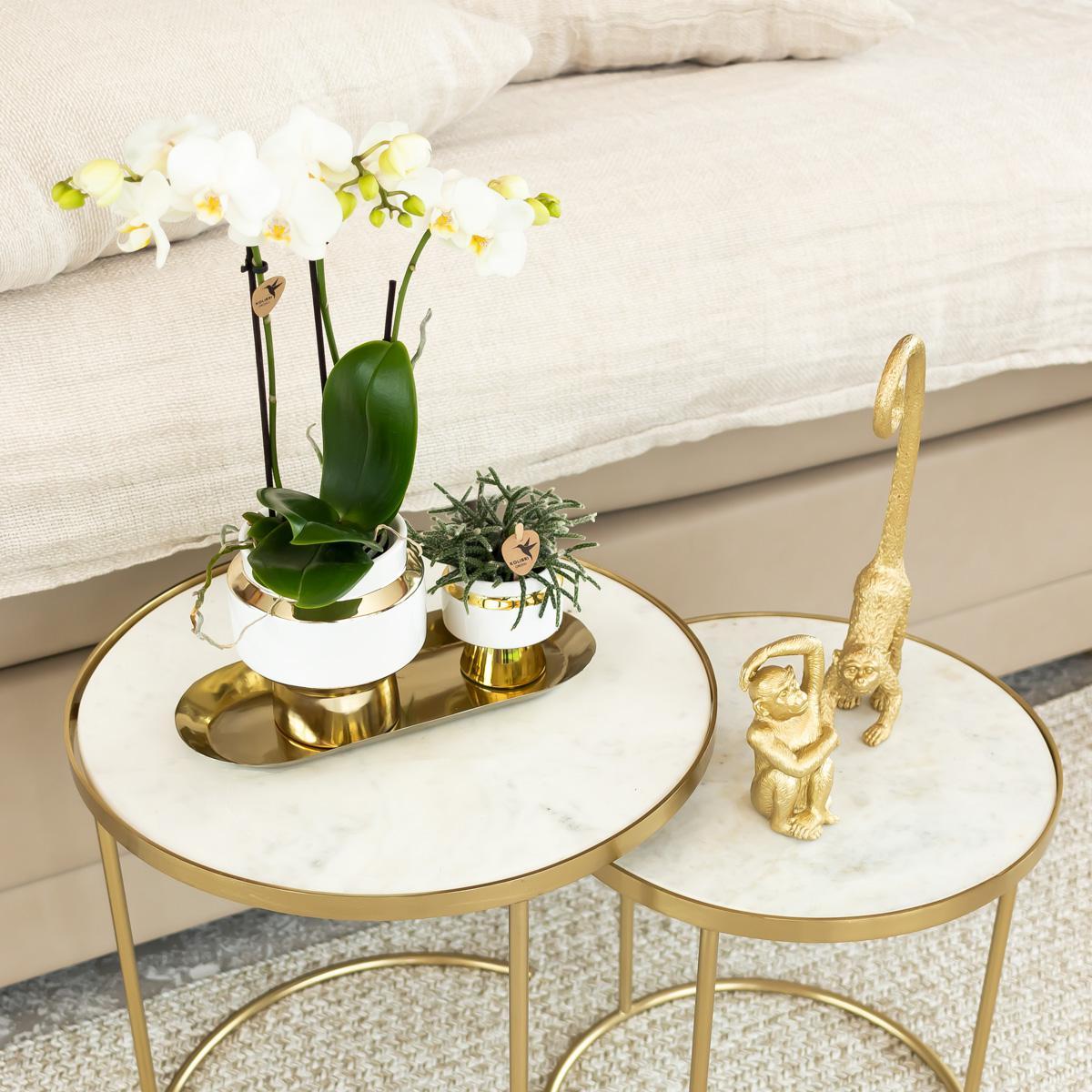 Le Chic bloempot - Witte keramieken sierpot met gouden of zilveren details - Potmaat Ø9cm