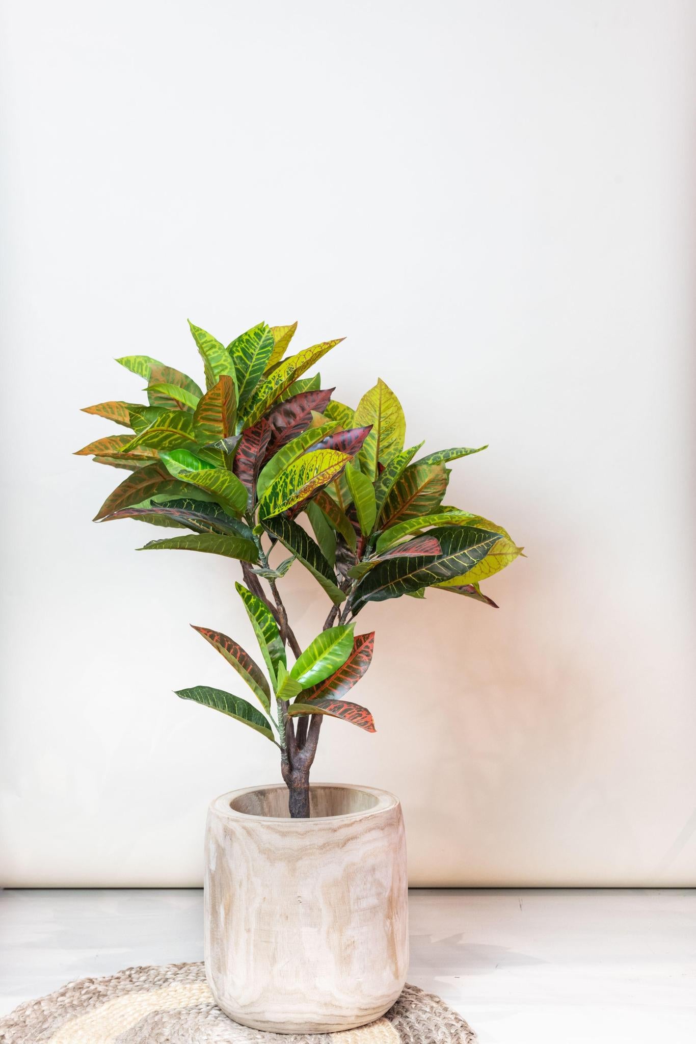 Kunstplant - Croton Codiaeum - Wonderstruik - Hoogte ↕100cm