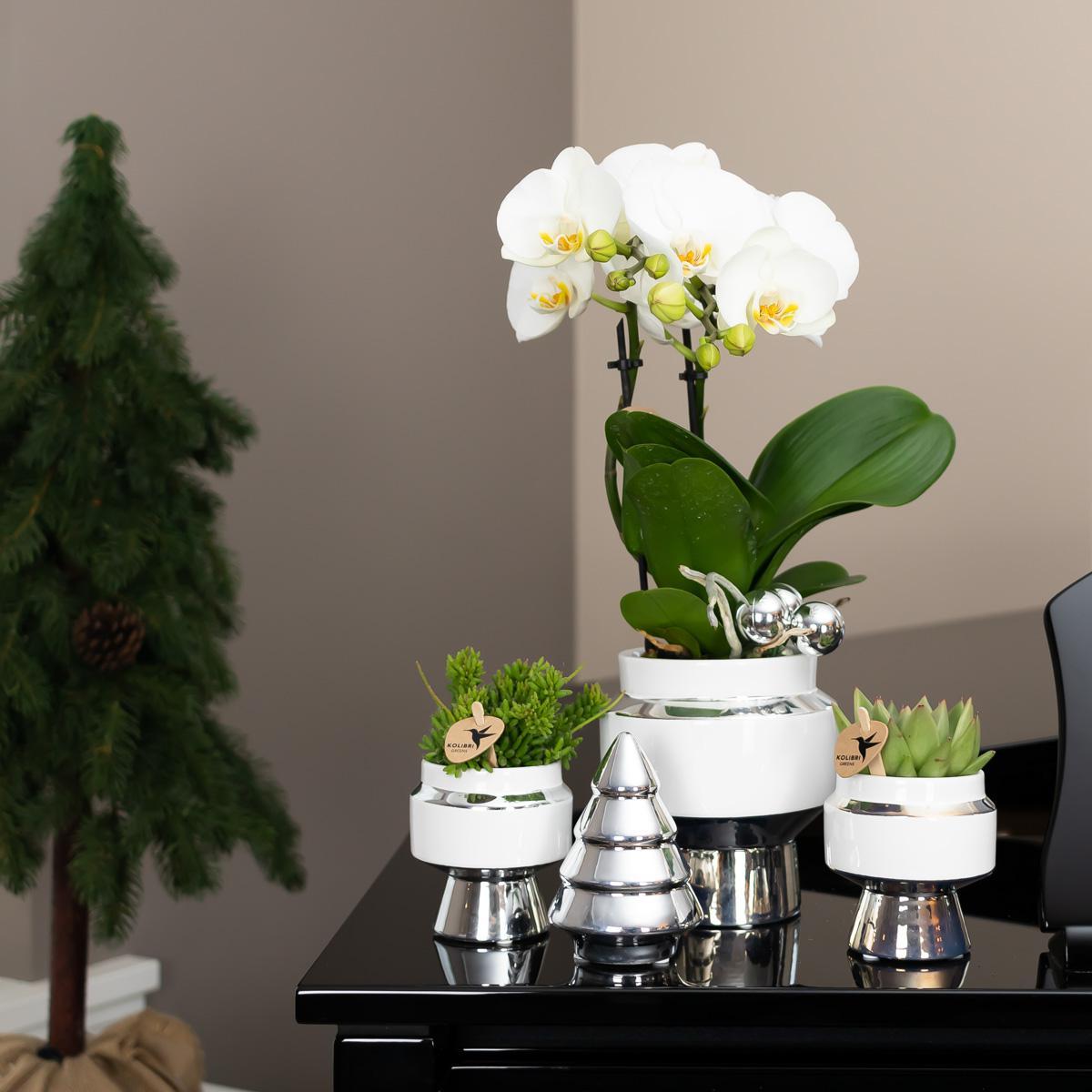 Le Chic bloempot - Witte keramieken sierpot met gouden of zilveren details - Potmaat Ø9cm