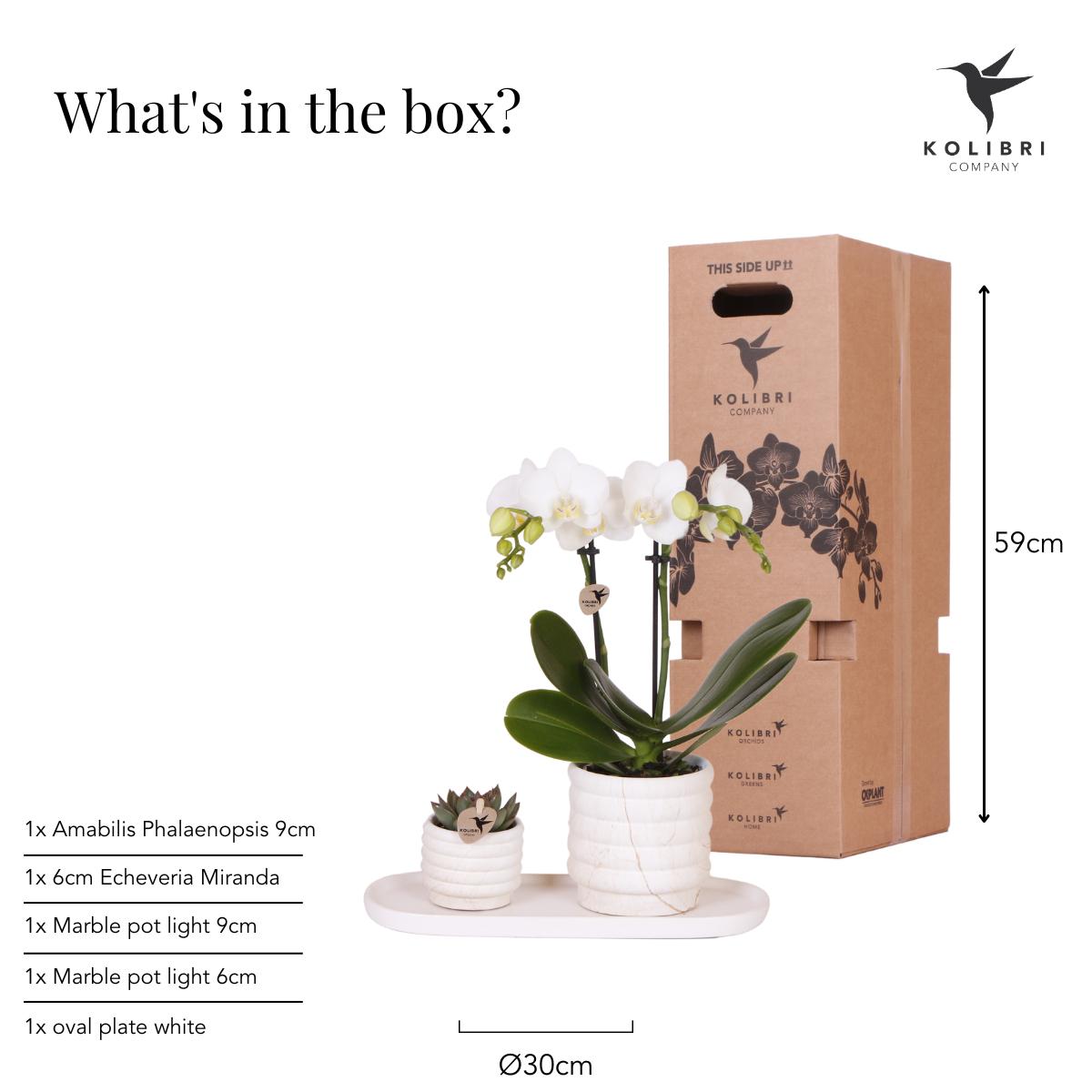 Plantenset - Slow Living - Small