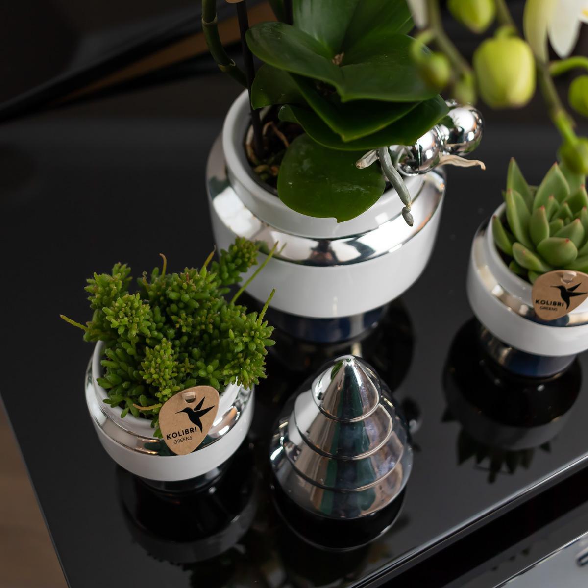 Le Chic bloempot - Witte keramieken sierpot met gouden of zilveren details - Potmaat Ø9cm