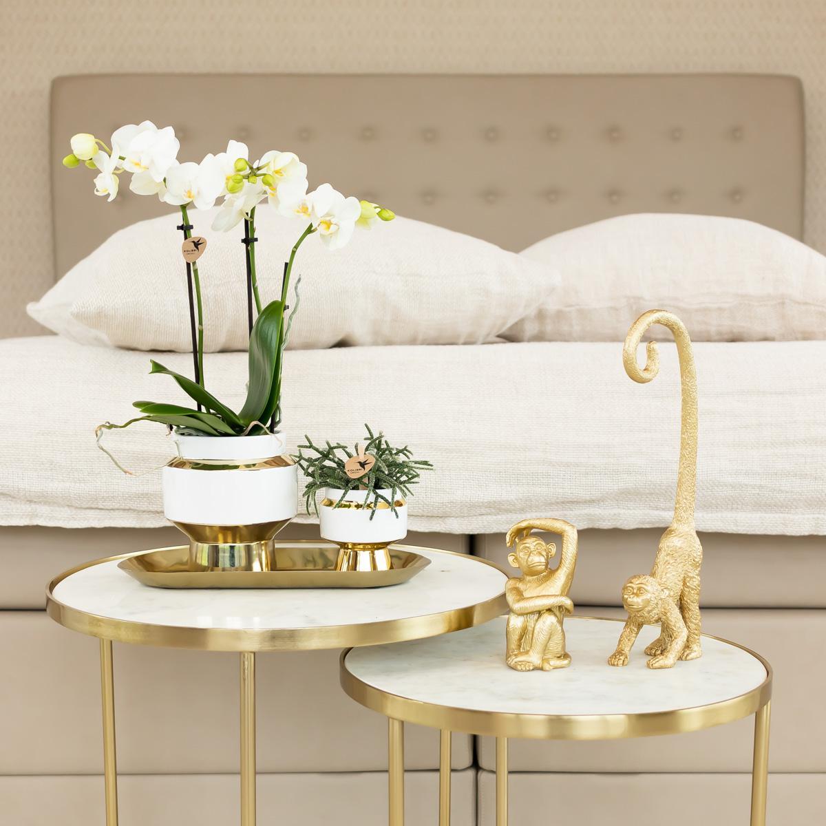 Le Chic bloempot - Witte keramieken sierpot met gouden of zilveren details - Potmaat Ø9cm