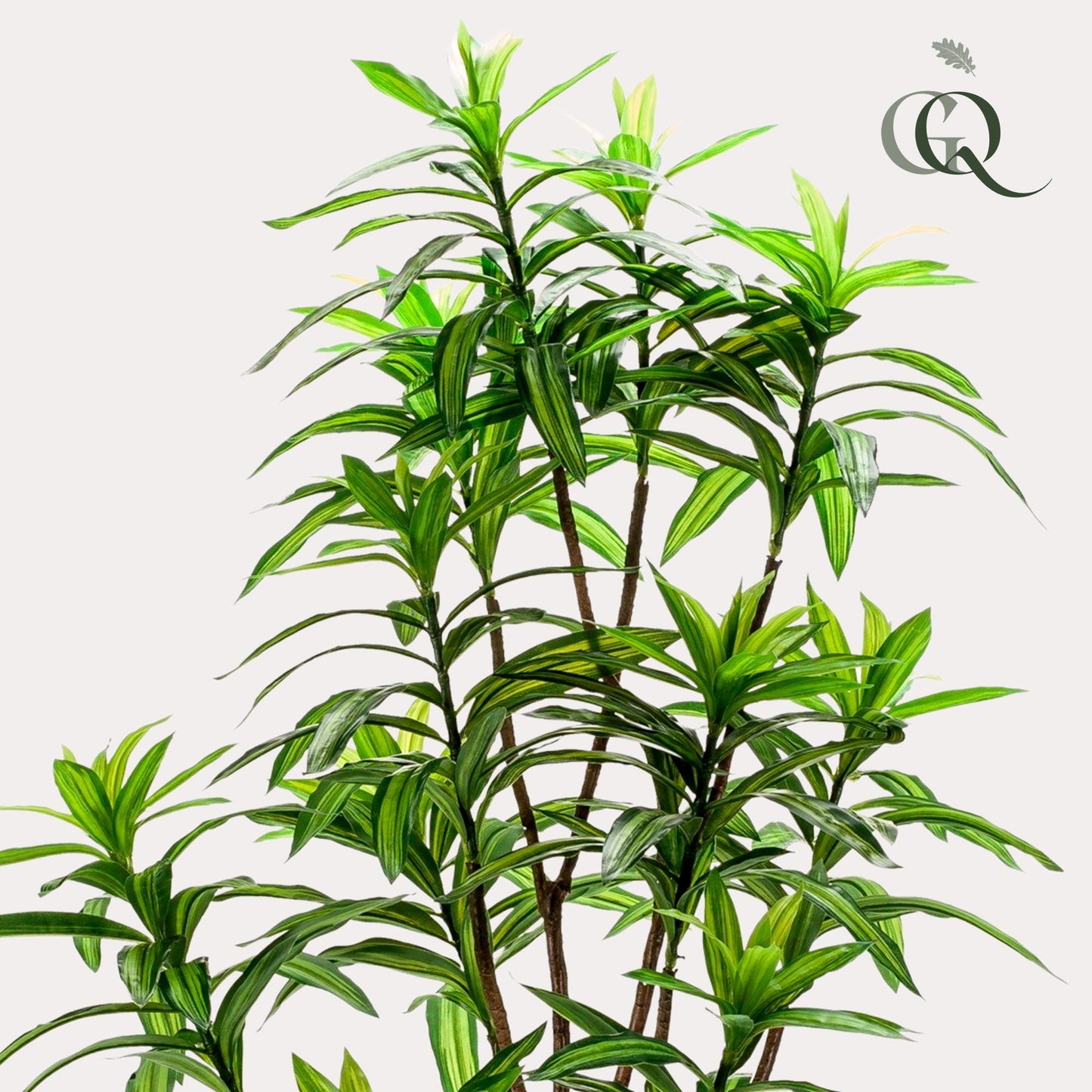 Kunstplant - Dracaena - Drakenboom - Hoogte ↕130cm