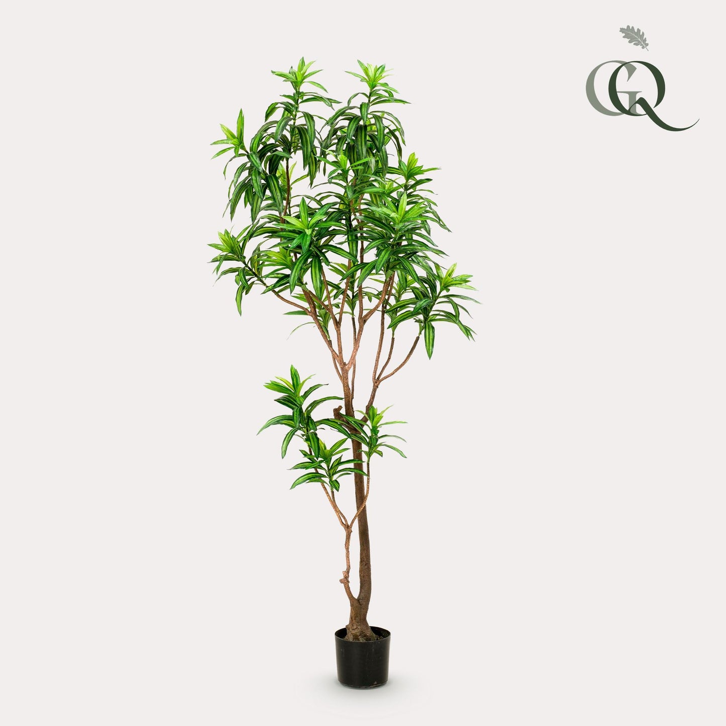 Kunstplant - Dracaena - Drakenboom - Hoogte ↕190cm