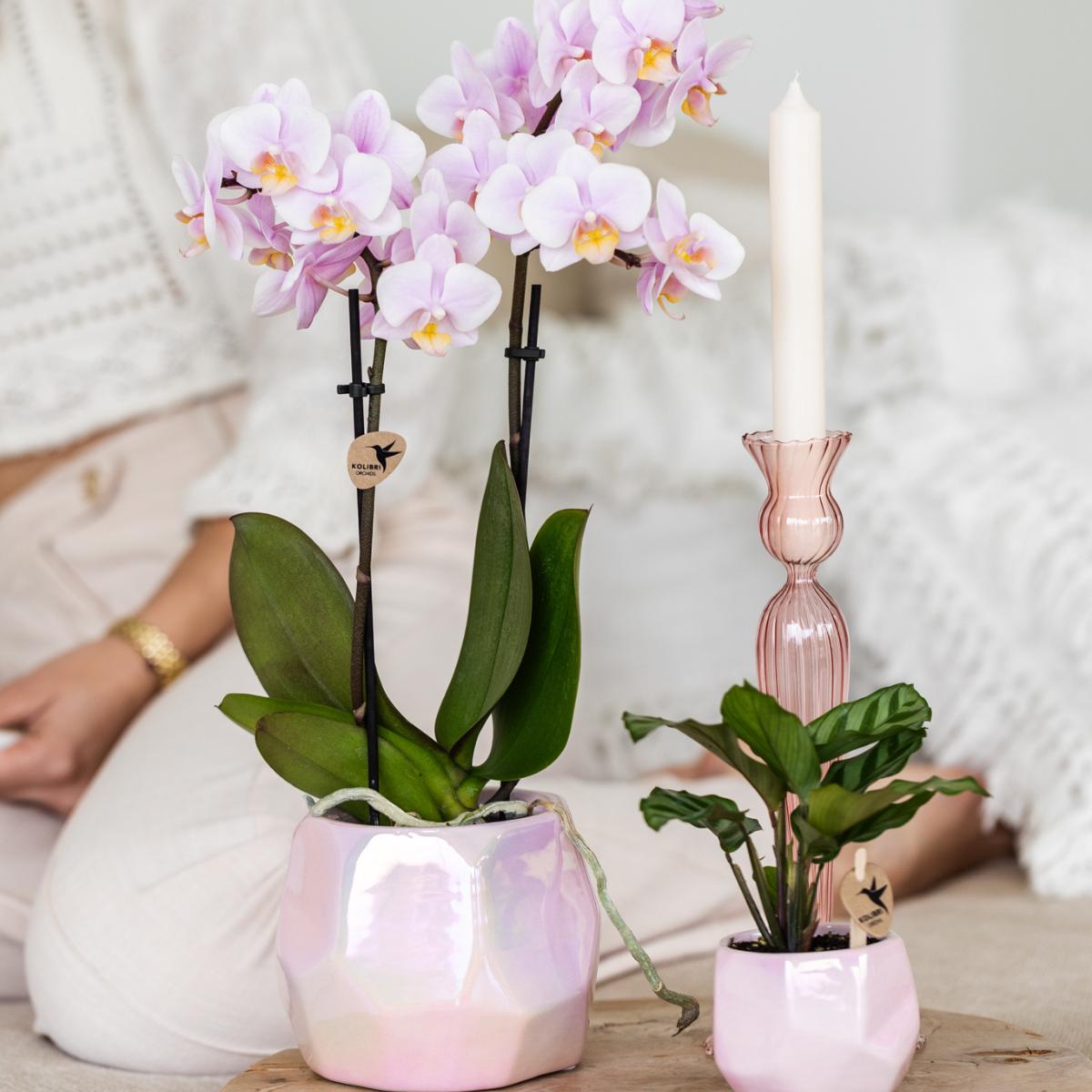 Pearl pot - Pink - Potmaat Ø9cm