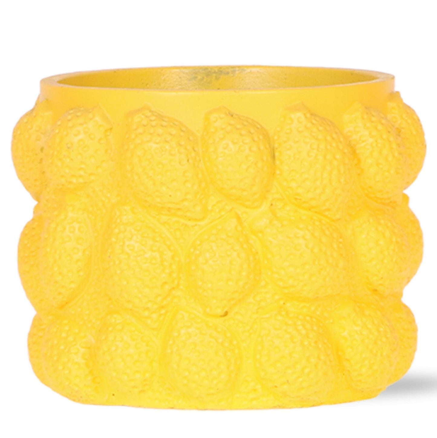 Citrus pot yellow - De gele citroen pot - Verschillende potmaten