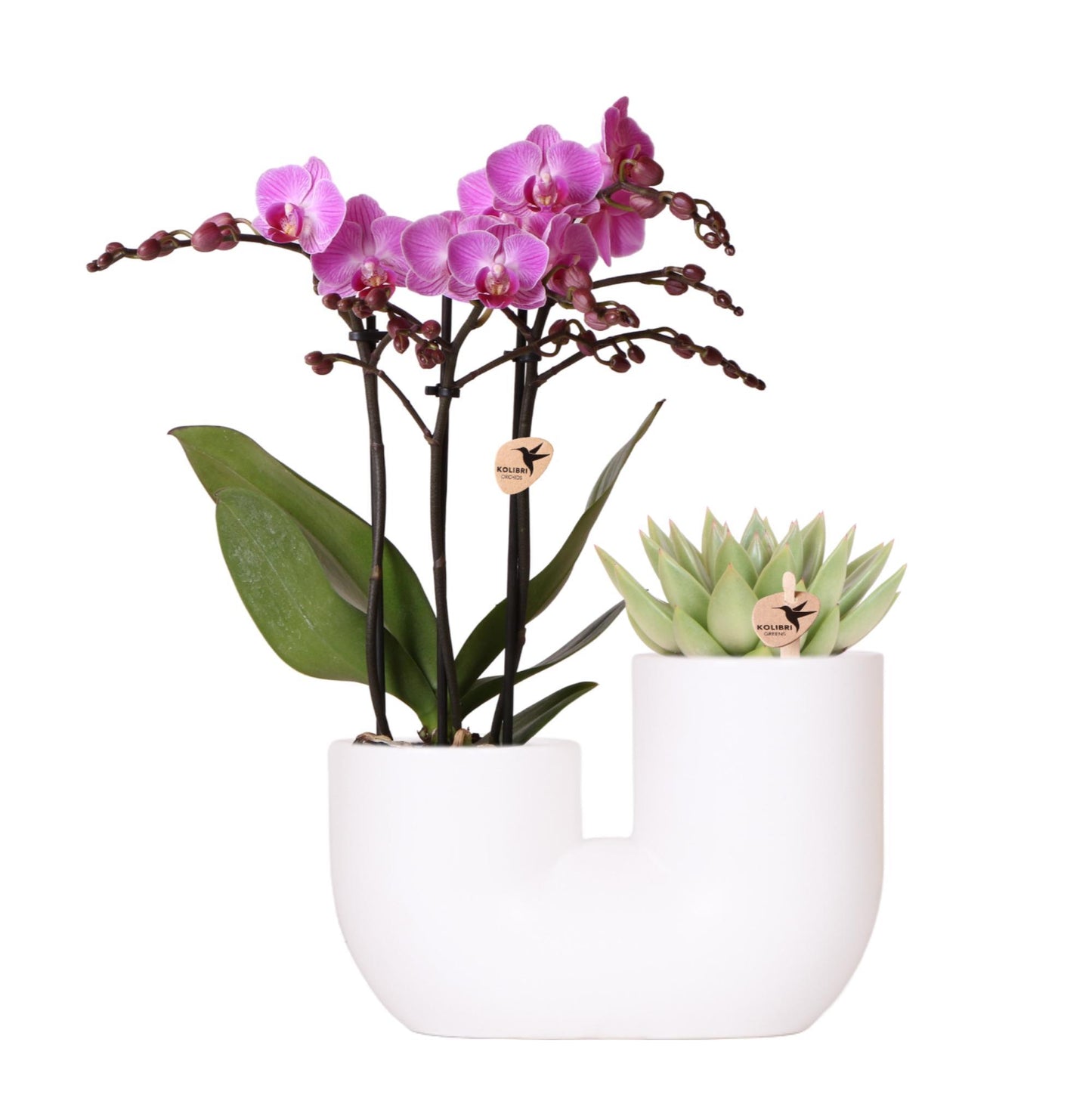 Giftset The Tube Duo