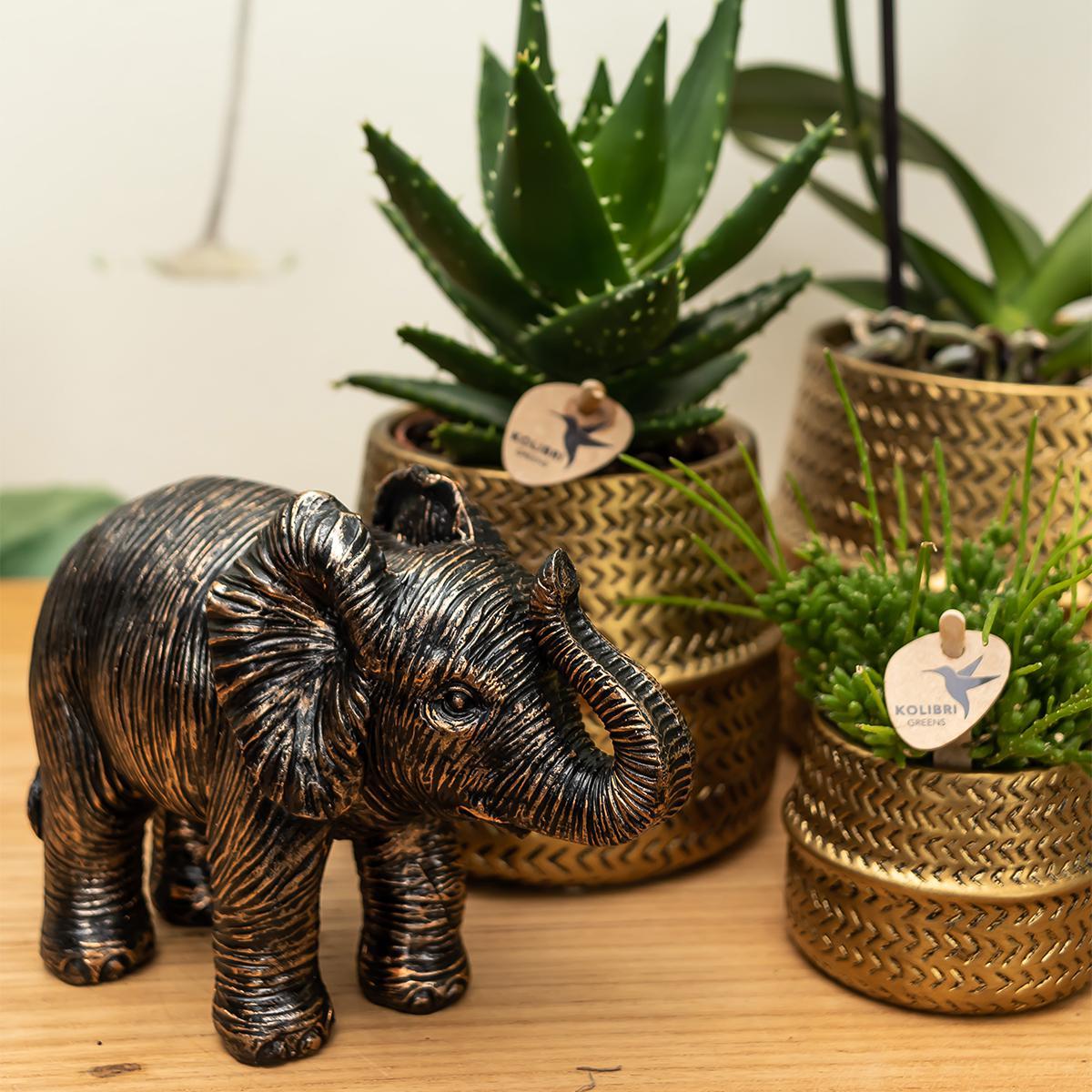 Ornament - Decoratie beeld Olifant - Diverse kleuren