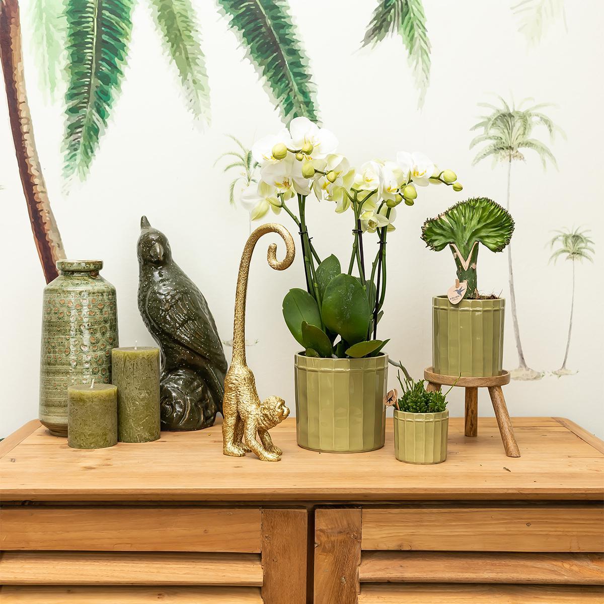 Ornament - Decoratie beeld aap met lange staart - Diverse kleuren
