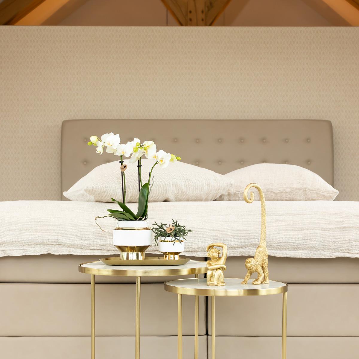 Le Chic bloempot - Witte keramieken sierpot met gouden of zilveren details - Potmaat Ø9cm