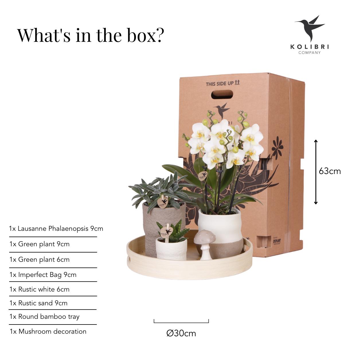 Plantenset - Relaxation Living