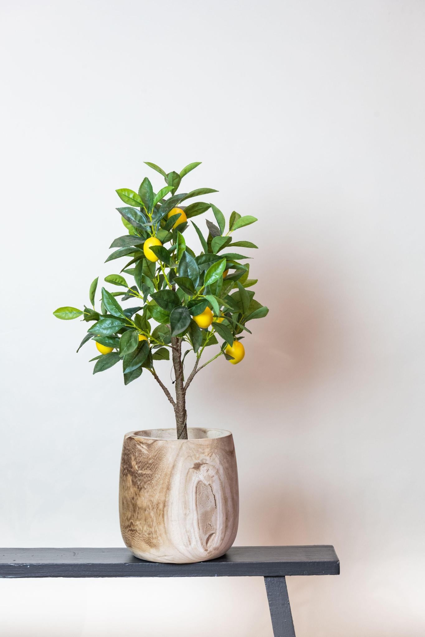 Kunstplant - Citrus Limonia - Citroenboom - Potmaat Ø12cm - Hoogte ↕75 cm