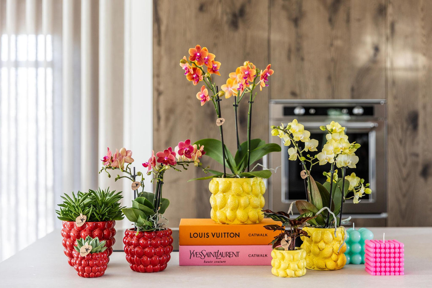 Citrus pot yellow - De gele citroen pot - Verschillende potmaten