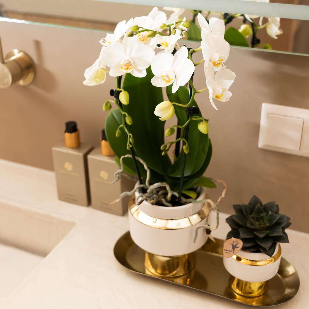 Le Chic bloempot - Witte keramieken sierpot met gouden of zilveren details - Potmaat Ø9cm