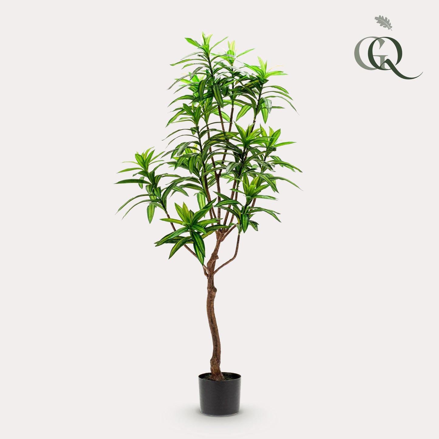 Kunstplant - Dracaena - Drakenboom - Hoogte ↕130cm