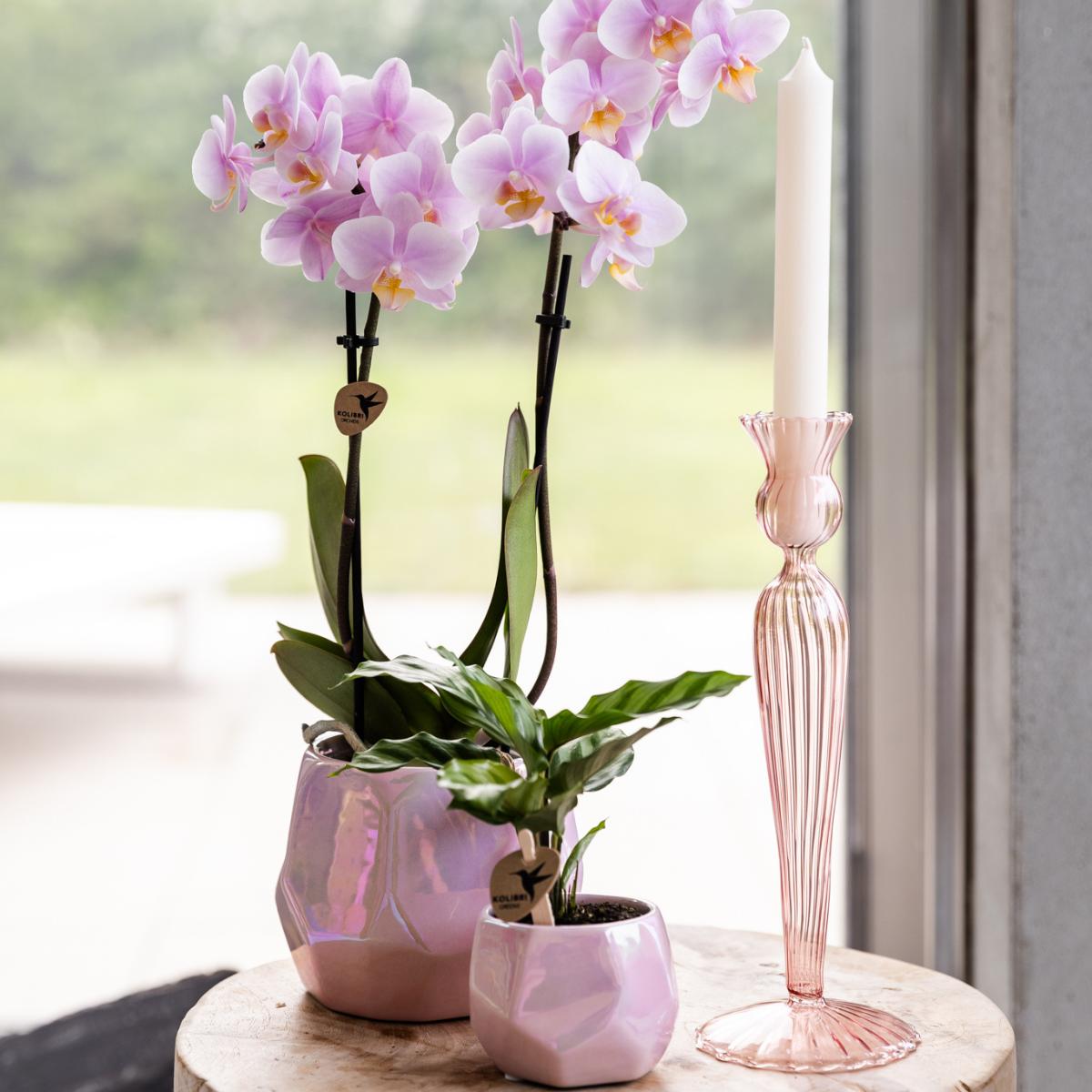Pearl pot - Pink - Potmaat Ø9cm