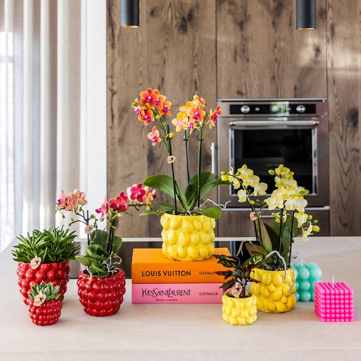 Berry pot - De verrukkelijke rode pot - Verschillende potmaten