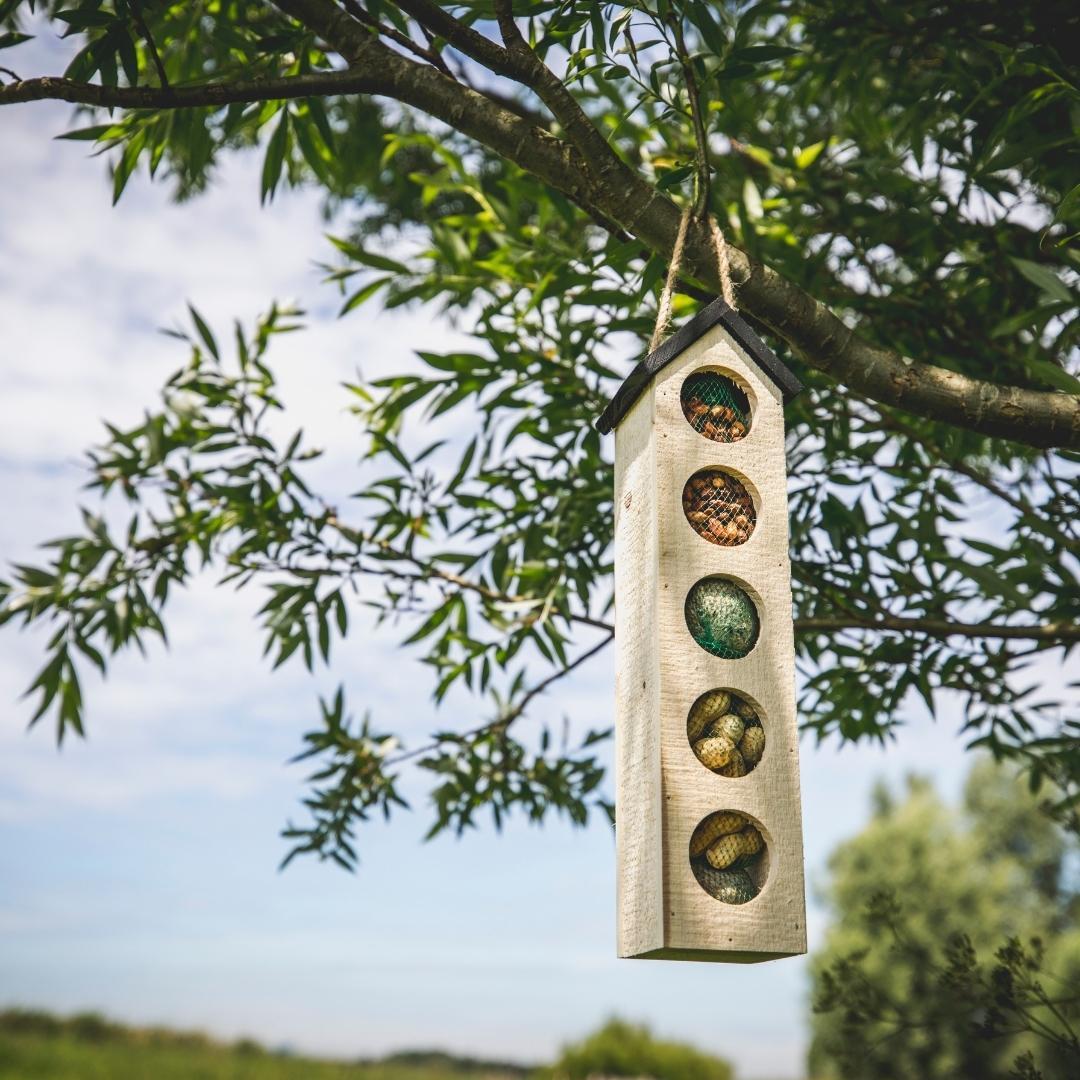Bird-Buffet | Grote Chaletvoederbak Vogelhuis Inclusief 500 Gram Voeding