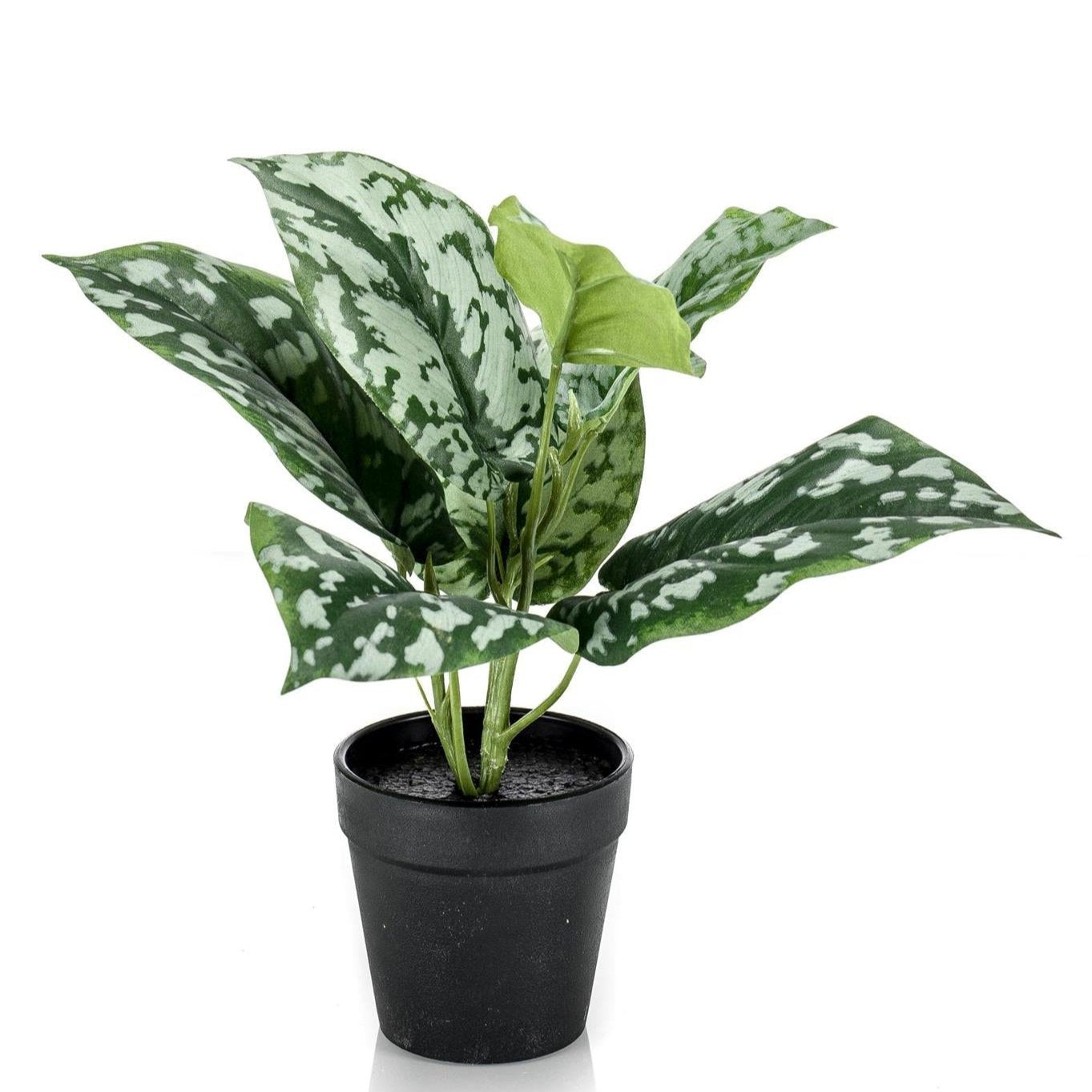 Kunstplant - Scindapsus Pictus - Geluksplant - 30 cm