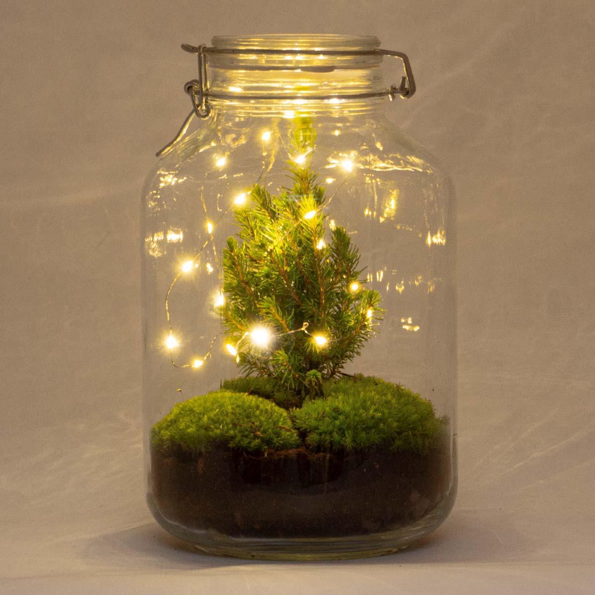 DIY terrarium - Kerstmis - Hoogte ↕28cm