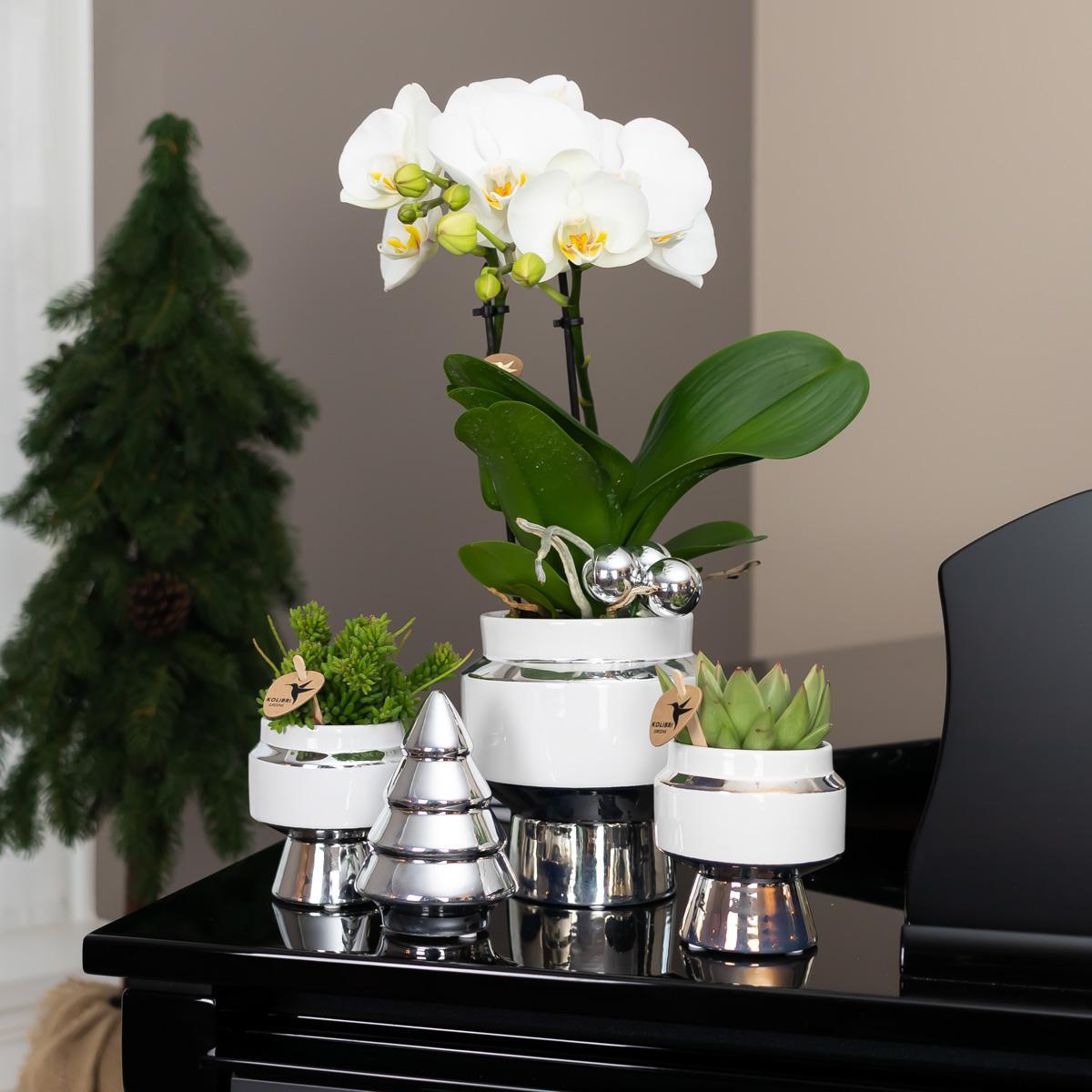 Le Chic bloempot - Witte keramieken sierpot met gouden of zilveren details - Potmaat Ø9cm