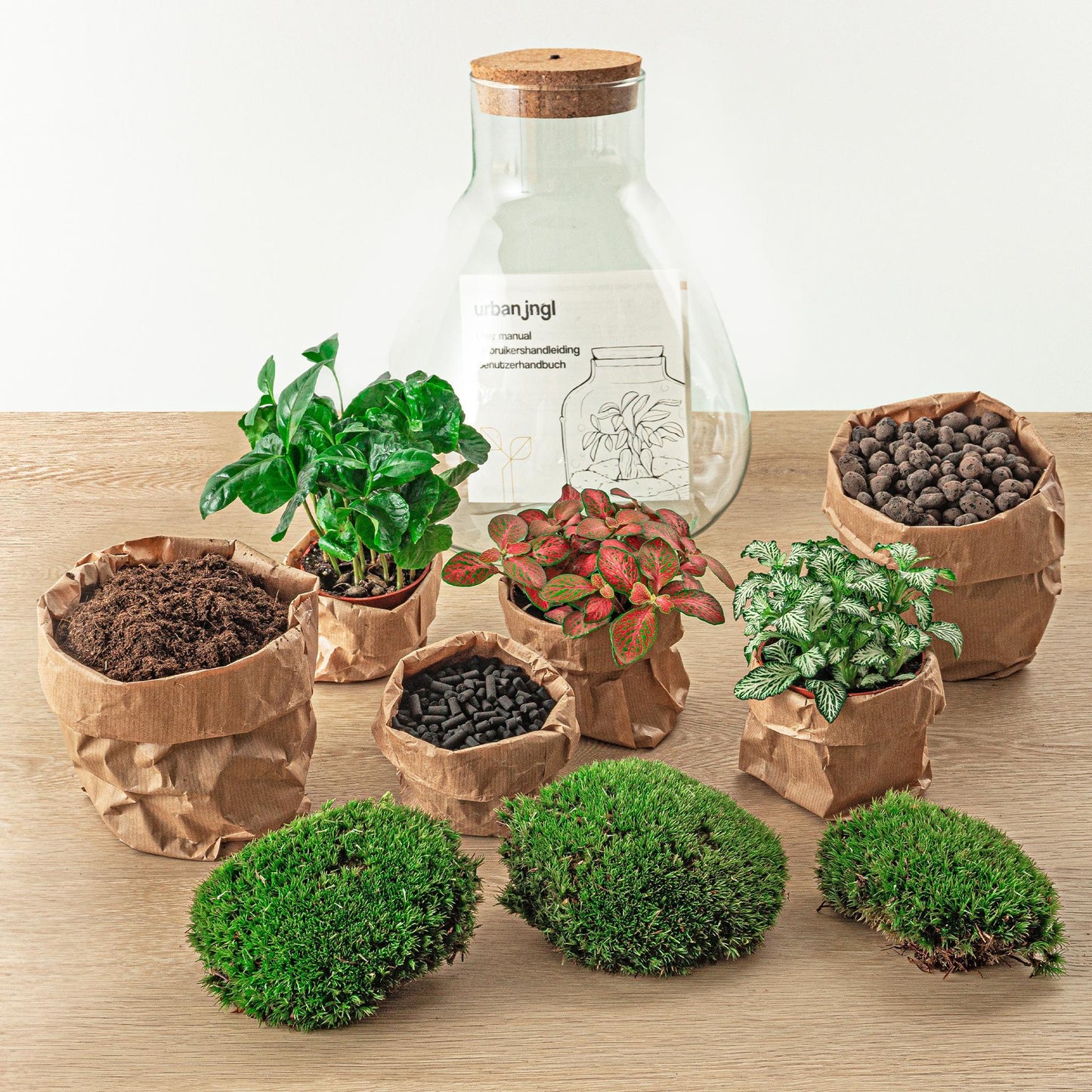 DIY terrarium - Sam Coffea met lamp - Hoogte ↕30cm