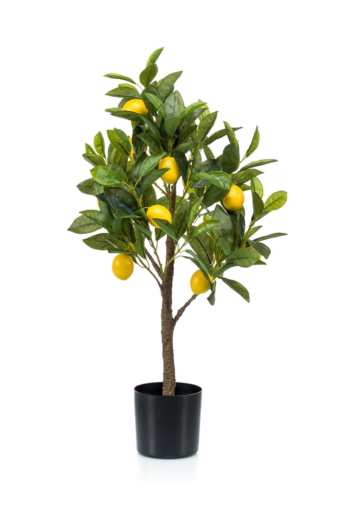 Kunstplant - Citrus Limonia - Citroenboom - Potmaat Ø12cm - Hoogte ↕75 cm