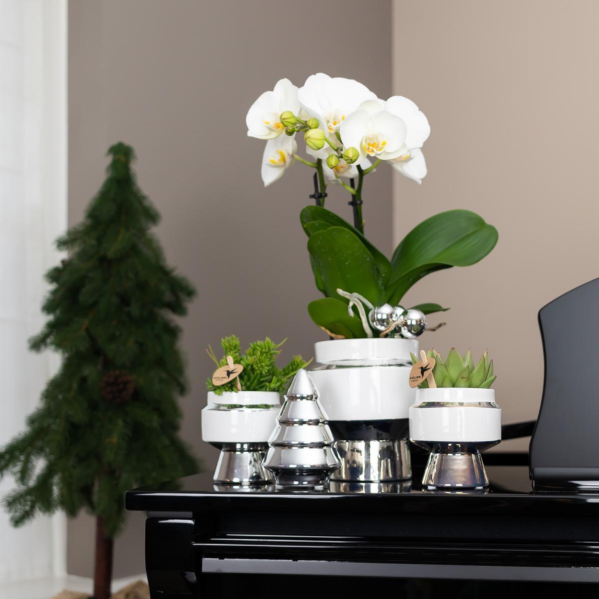Le Chic bloempot - Witte keramieken sierpot met gouden of zilveren details - Potmaat Ø9cm