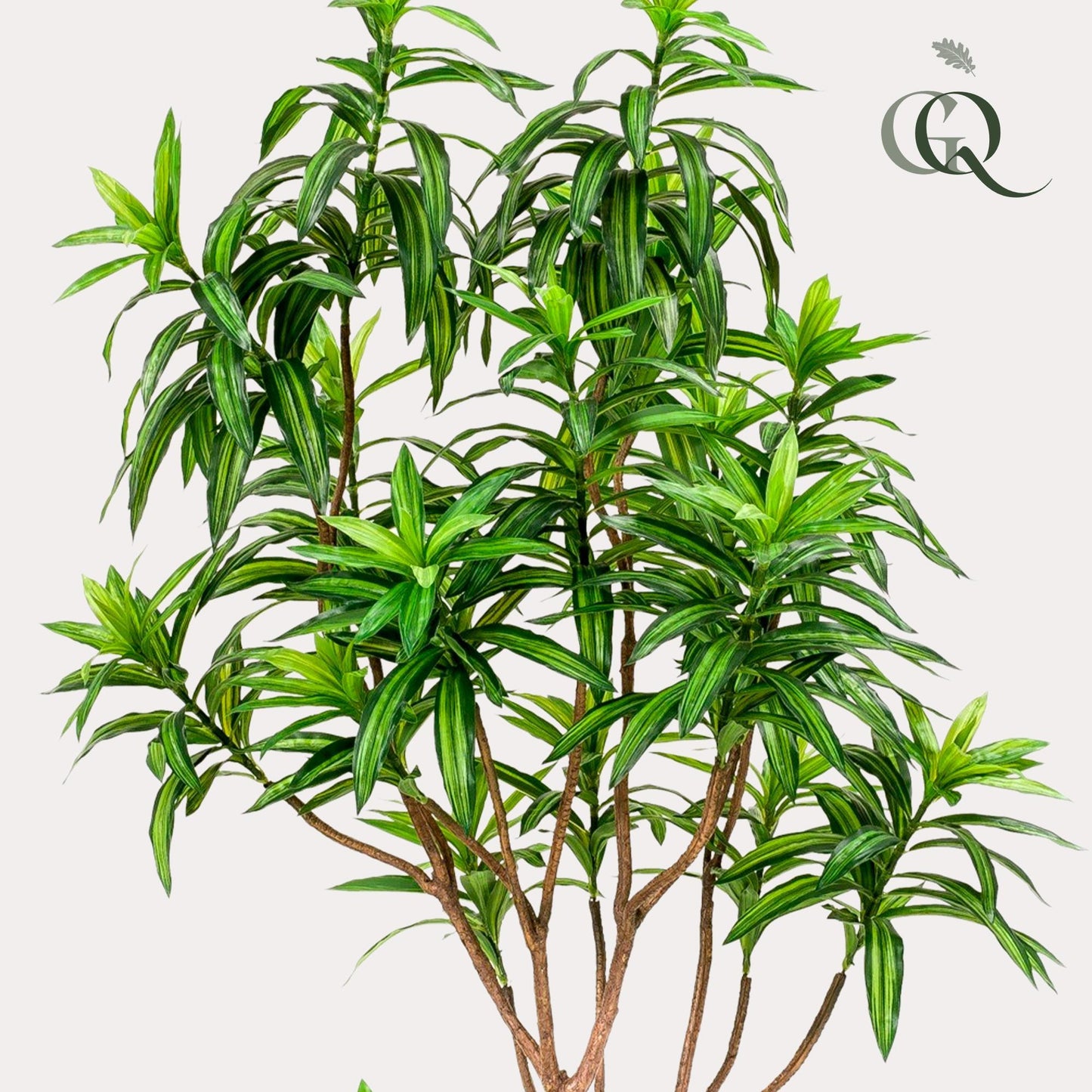 Kunstplant - Dracaena - Drakenboom - Hoogte ↕190cm