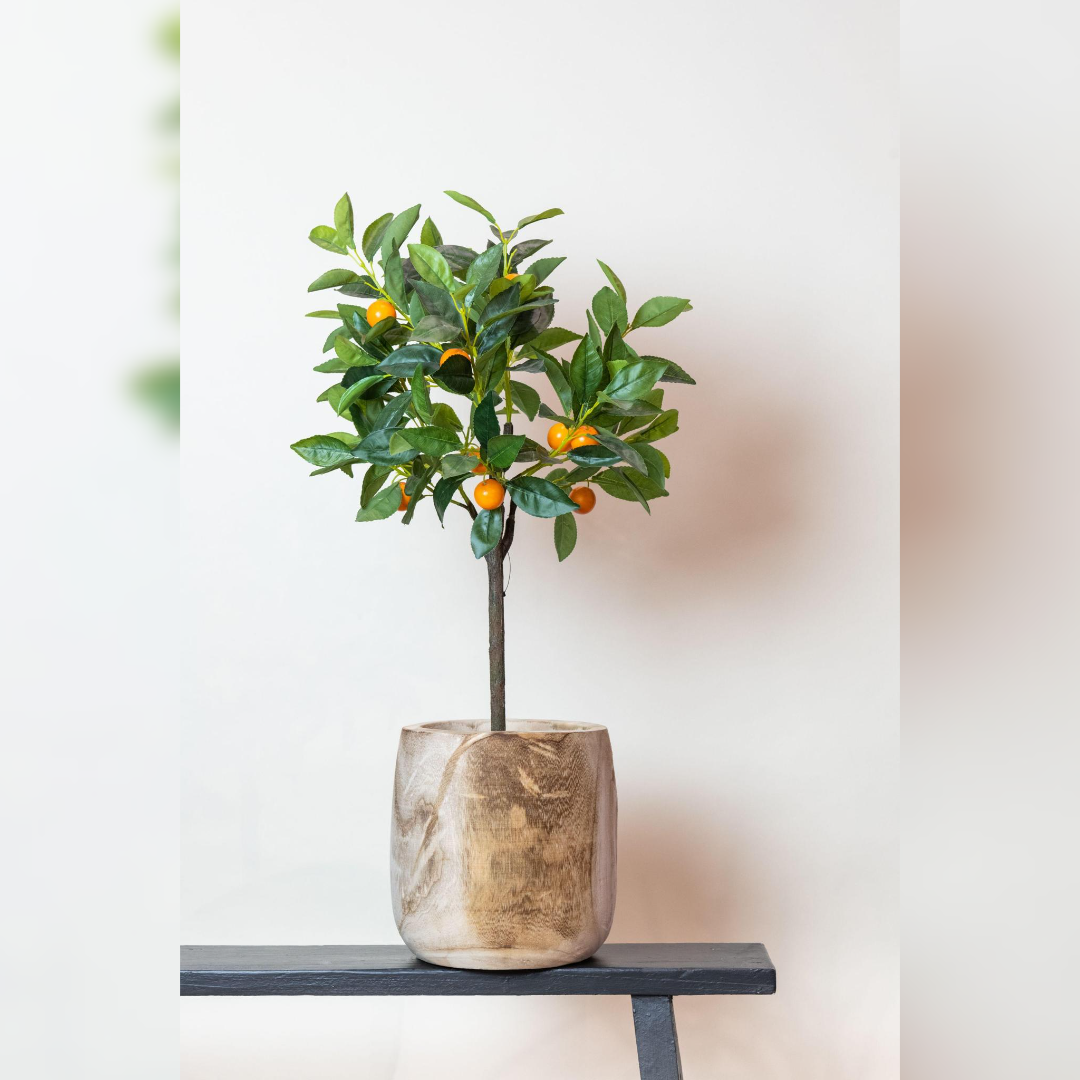 Kunstplant - Citrus Sinensis - Sinaasappelboom - Hoogte ↕75cm