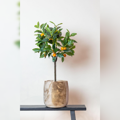 Kunstplant - Citrus Sinensis - Sinaasappelboom - Hoogte ↕75cm