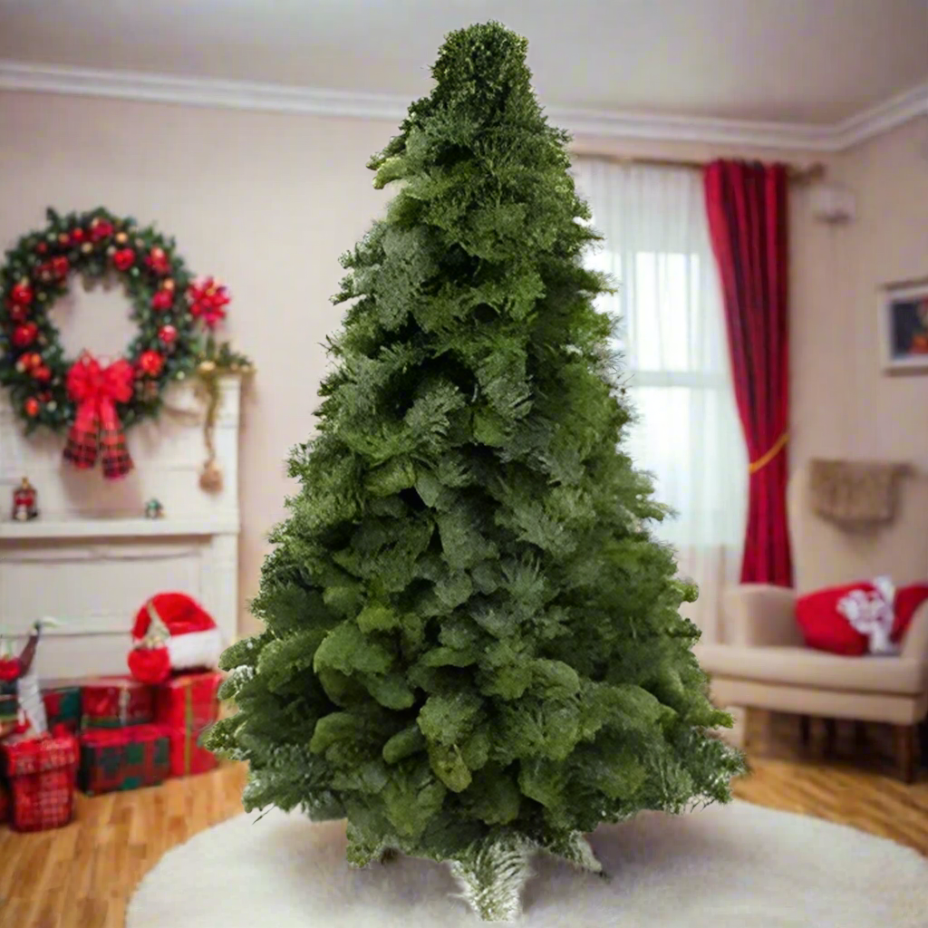 Nobilis Kerstboom - Diverse hoogtes