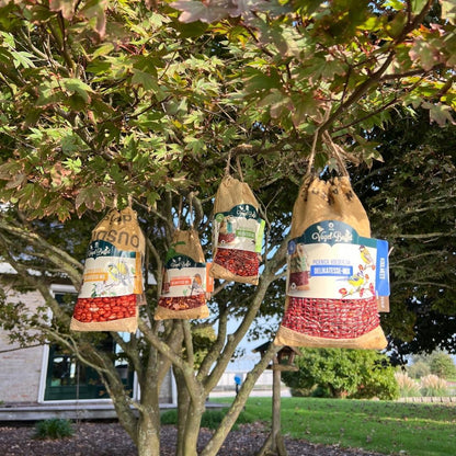 Bird-Buffet | Picknick voor buitenvogels | Mussen & Merels - 300 gram