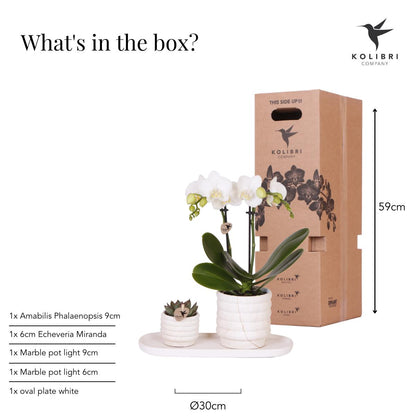Plantenset - Slow Living - Small