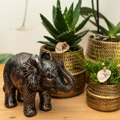 Ornament - Decoratie beeld Olifant - Diverse kleuren