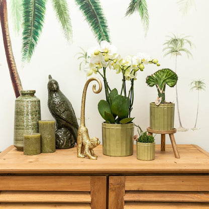 Ornament - Decoratie beeld aap met lange staart - Diverse kleuren