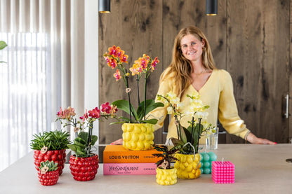 Citrus pot yellow - De gele citroen pot - Verschillende potmaten