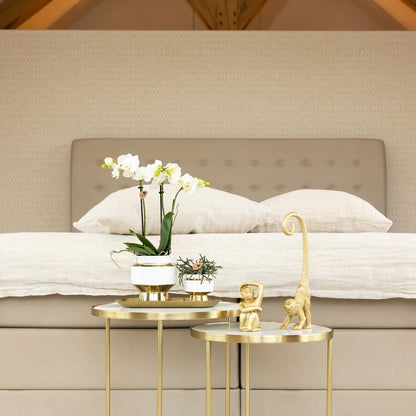 Le Chic bloempot - Witte keramieken sierpot met gouden of zilveren details - Potmaat Ø9cm