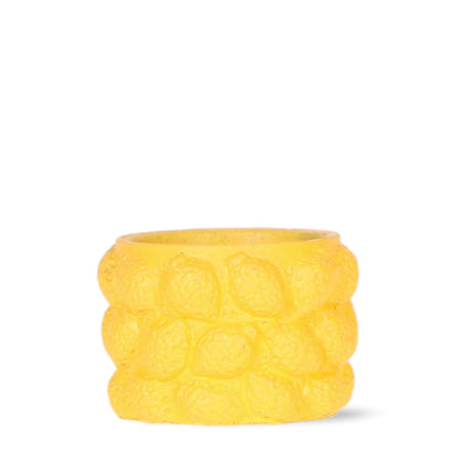 Citrus pot yellow - De gele citroen pot - Verschillende potmaten