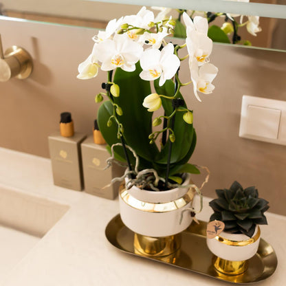 Le Chic bloempot - Witte keramieken sierpot met gouden of zilveren details - Potmaat Ø9cm