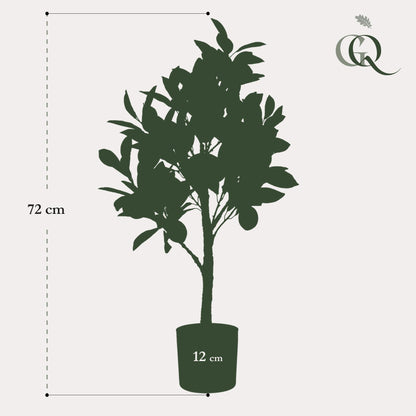 Kunstplant - Citrus Limonia - Citroenboom - Potmaat Ø12cm - Hoogte ↕75 cm